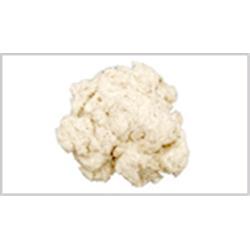 Cleaned Cotton Wastes