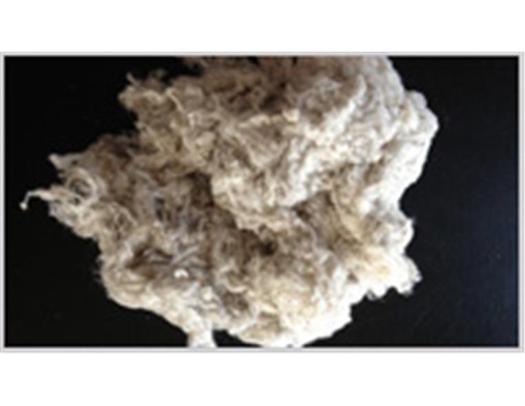 Cotton Wastes